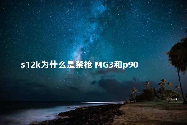 s12k为什么是禁枪 MG3和p90选哪个